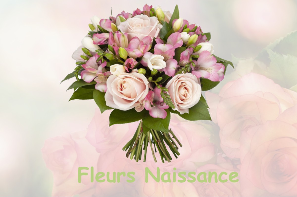 fleurs naissance BOUREUILLES