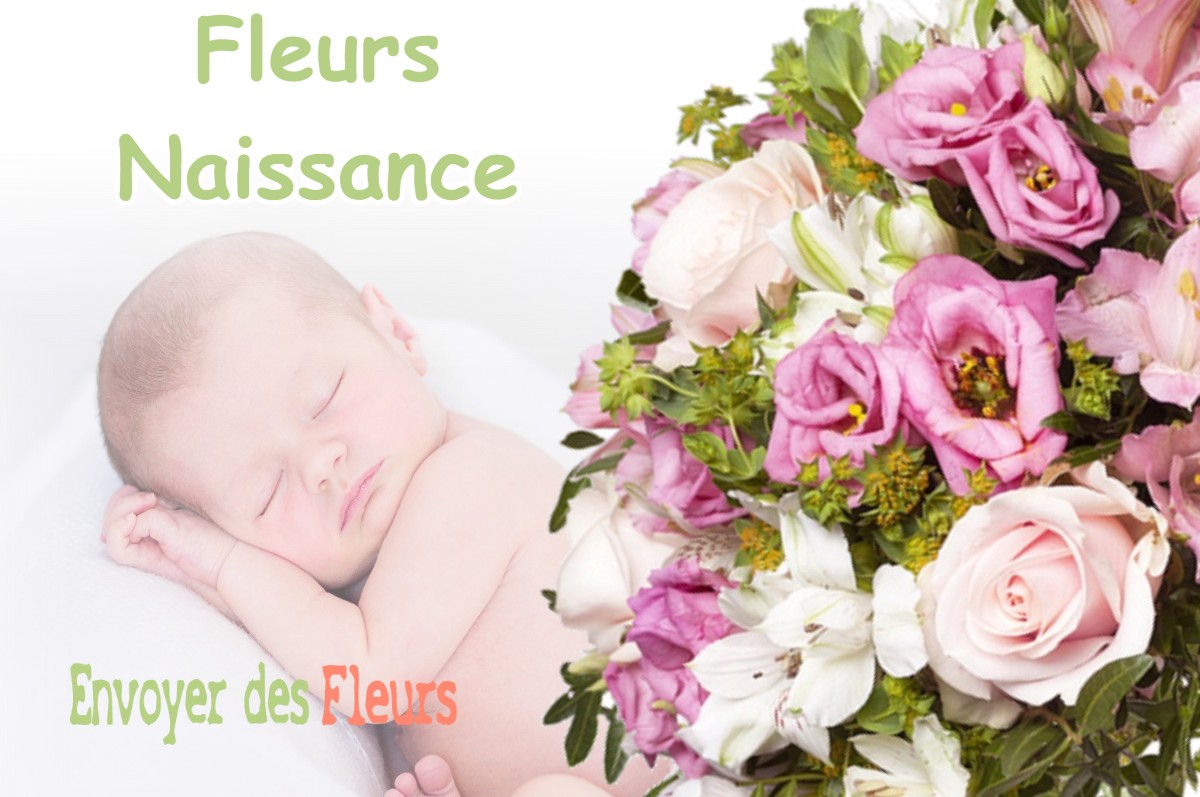 lIVRAISON FLEURS NAISSANCE à BOUREUILLES